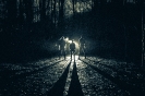 DREMU-POLL S-H BAND DES JAHRES