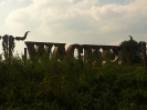 WACKEN 2012