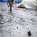 WACKEN 2015